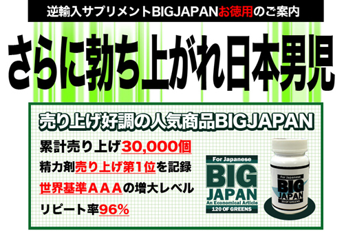BIGJAPAN（ビッグジャパン）お徳用