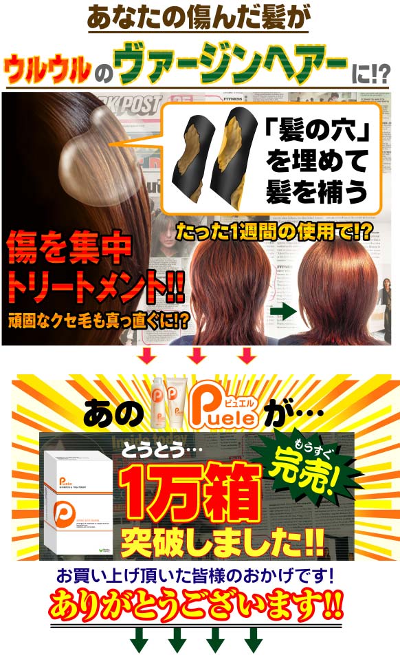 ピュエル徳用シャンプー＆トリートメントセット